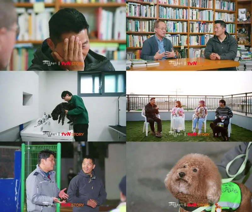 tvN STORY '고독한 훈련사'